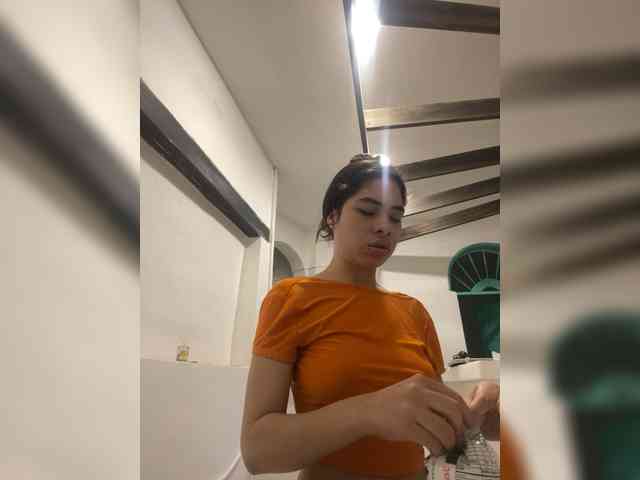 LeiaStone webcam