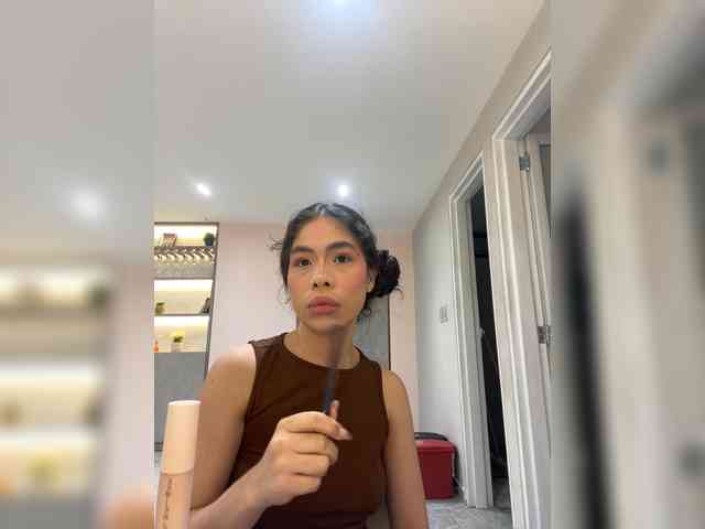 LeiaStone webcam