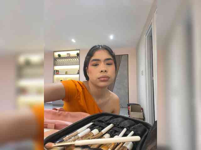 LeiaStone webcam