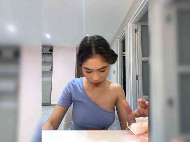 LeiaStone webcam