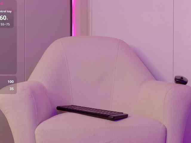 LeiaStone webcam