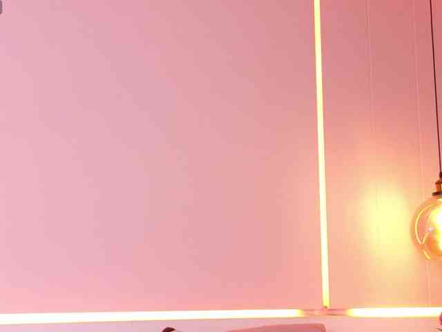 LeiaStone webcam