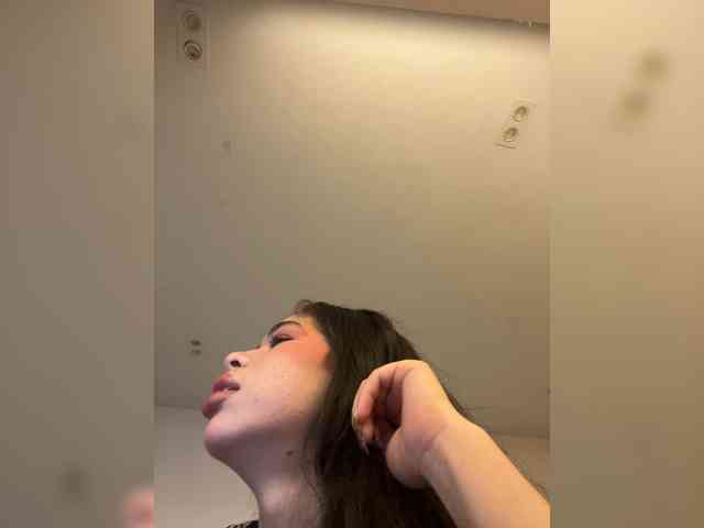 LeiaStone webcam