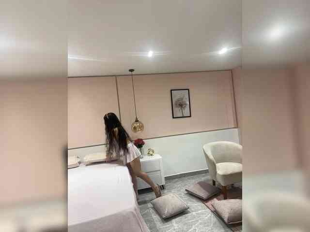LeiaStone webcam