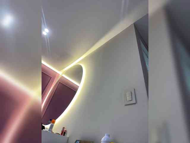 LeiaStone webcam