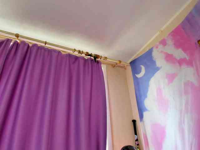 FlexxyLexy webcam