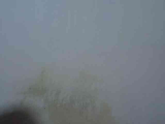 Sexyhanish webcam