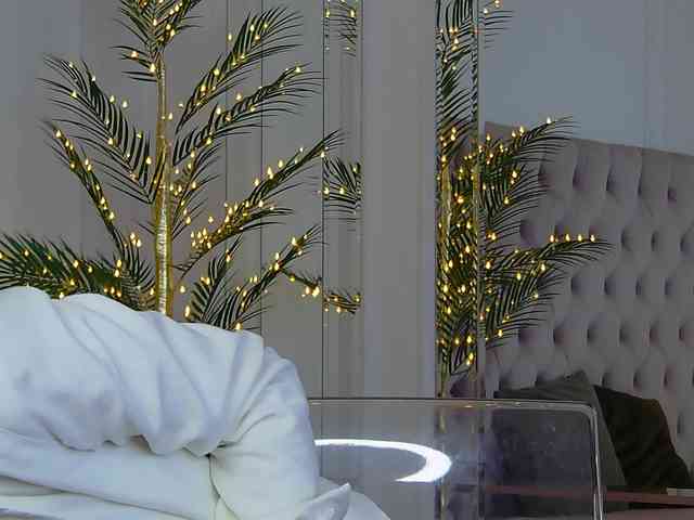 KimmDaviss webcam
