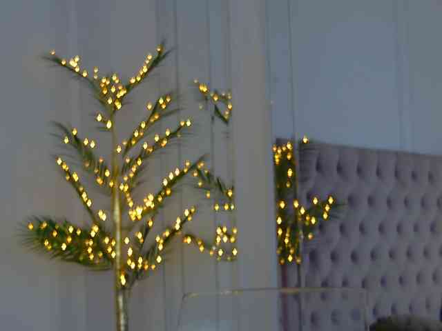 KimmDaviss webcam