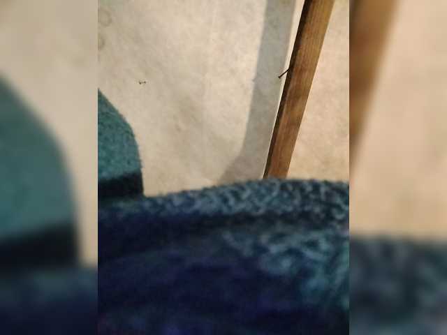 Assybusty