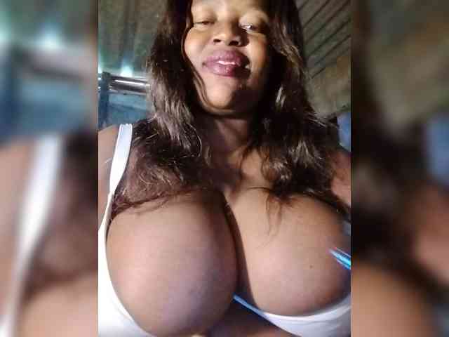Assybusty Assybusty