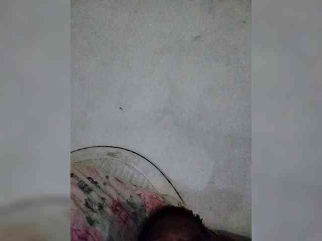 Assybusty webcam