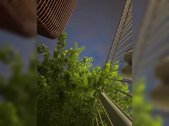 MarKaa0