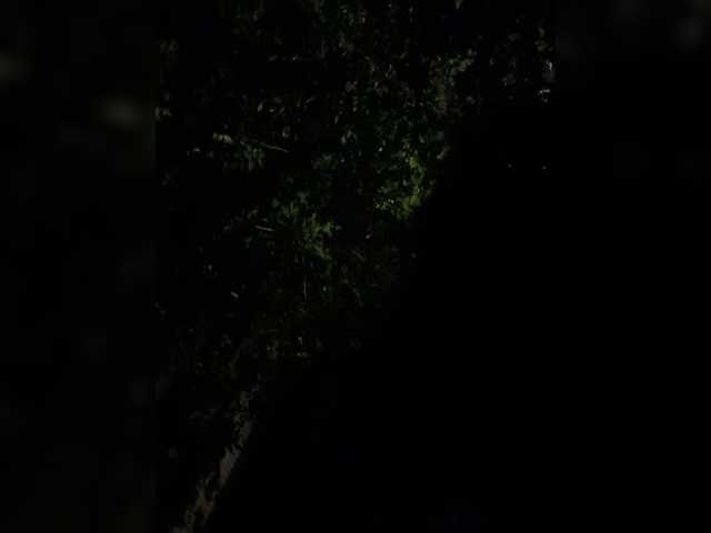 MarKaa0