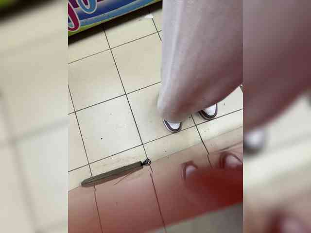 MarKaa0 webcam