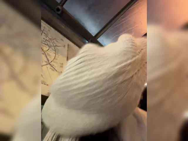 MarKaa0 webcam