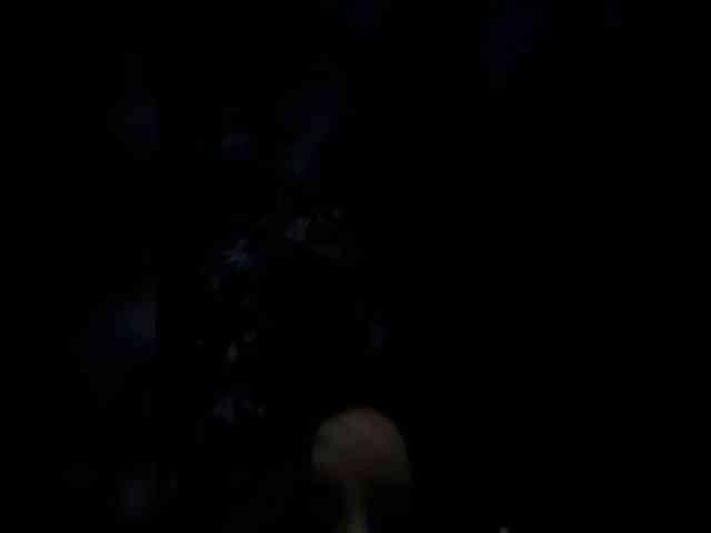 MarKaa0 webcam