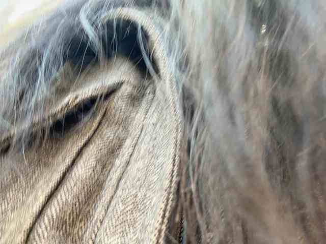 MarKaa0 webcam