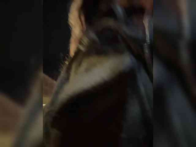 MarKaa0