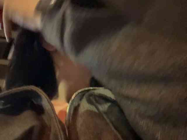 MarKaa0 webcam