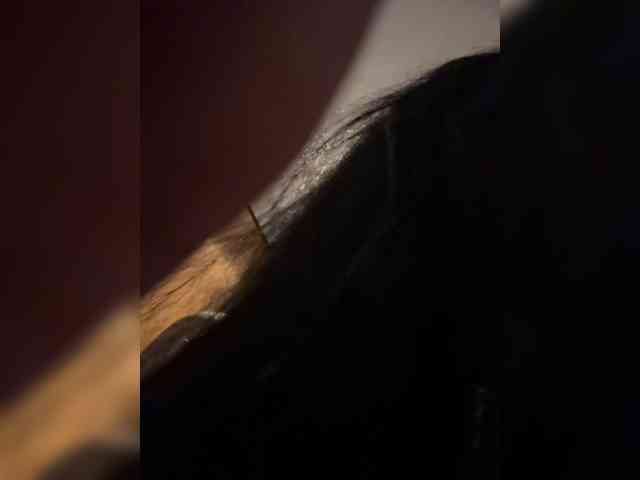 porn web cam free MarKaa0