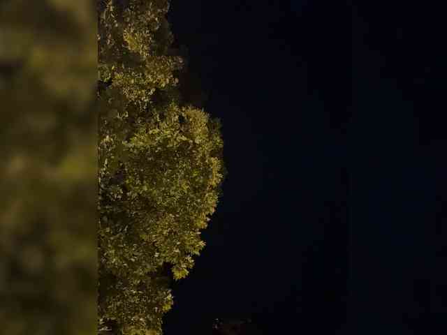 MarKaa0