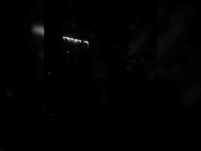 MarKaa0 webcam