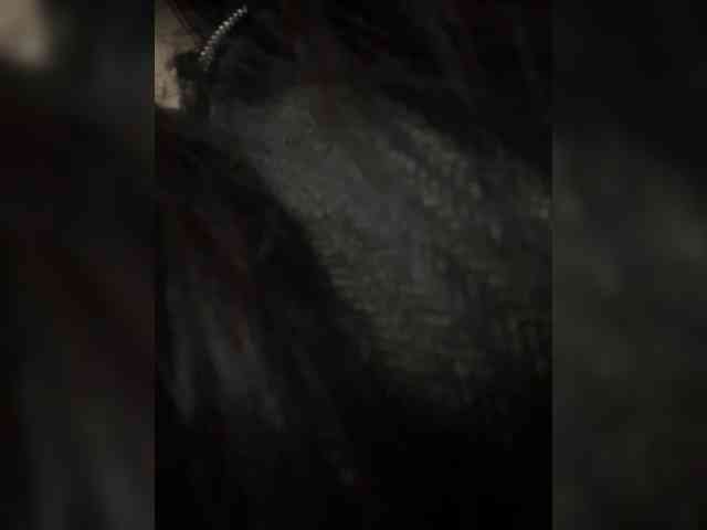 MarKaa0 webcam