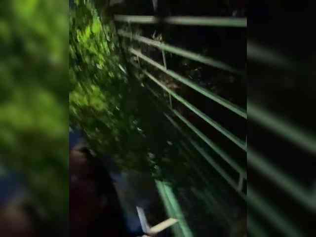 MarKaa0