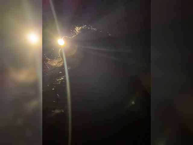 MarKaa0 webcam