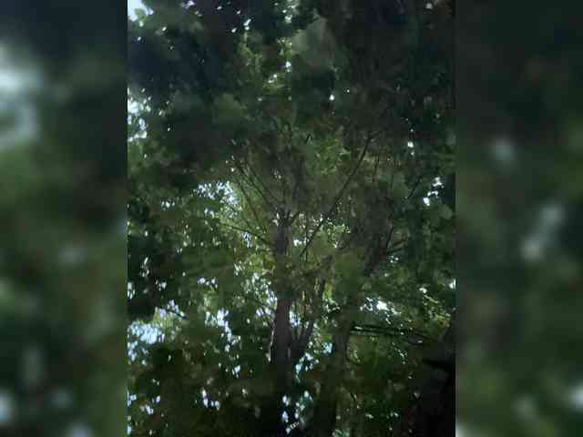 MarKaa0