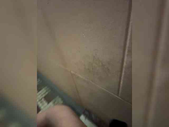 MarKaa0 webcam