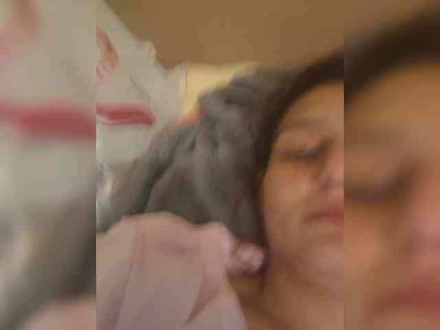 Narrowsexymonica webcam