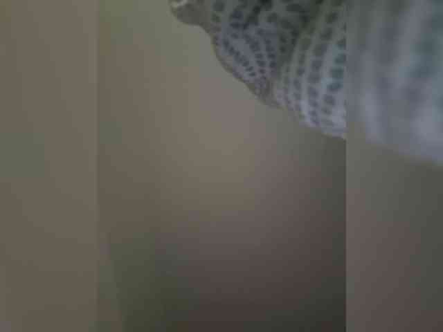 RosseRoss webcam