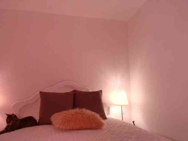 Melyzamek27 webcam