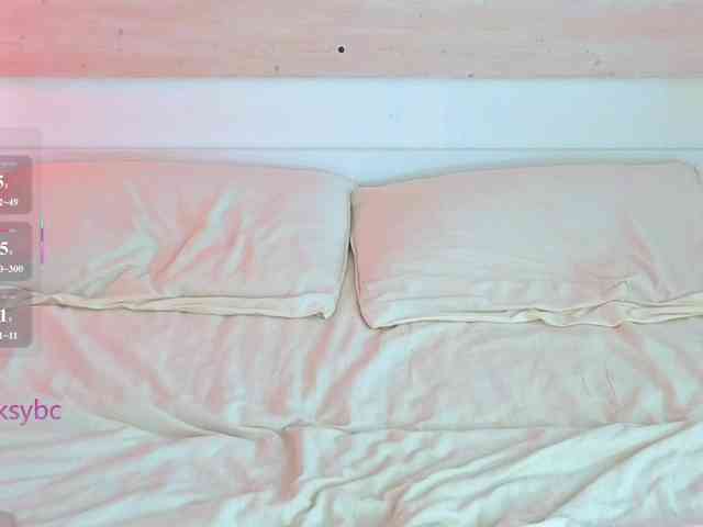 HotKsy webcam