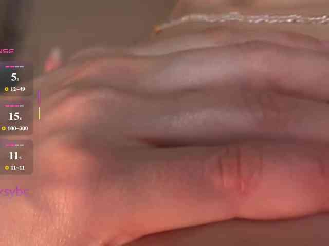 HotKsy webcam