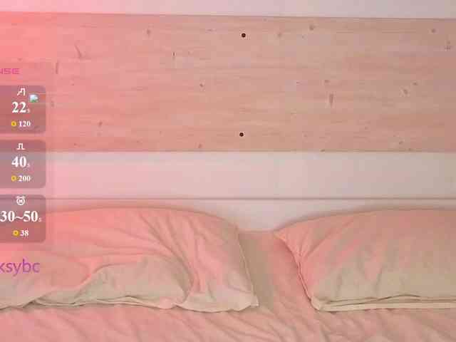 HotKsy webcam