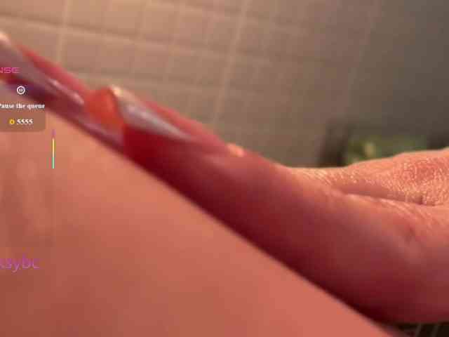 HotKsy webcam