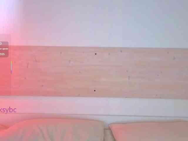 HotKsy webcam