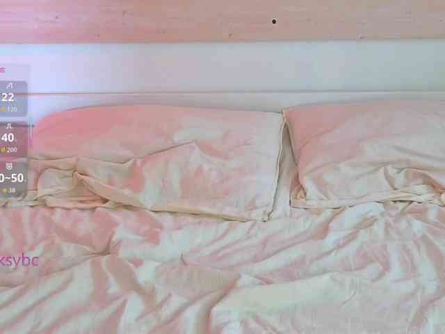 HotKsy webcam