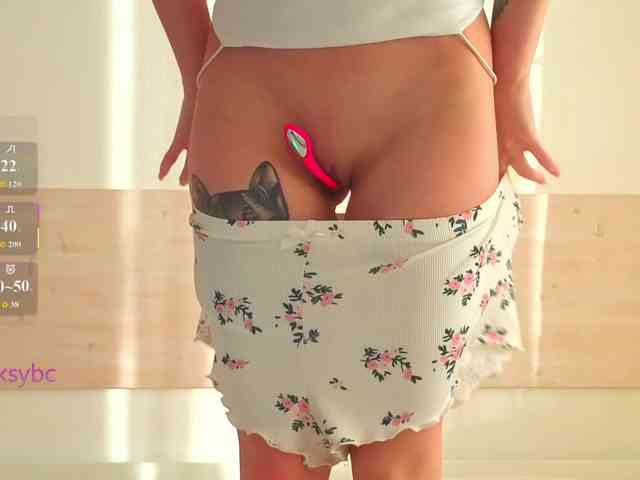 HotKsy webcam
