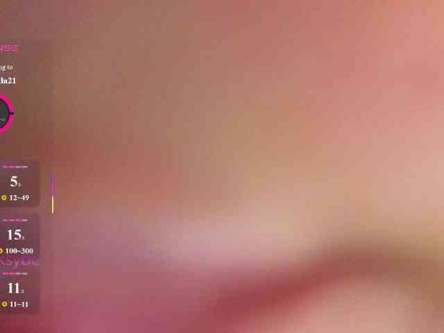 HotKsy webcam
