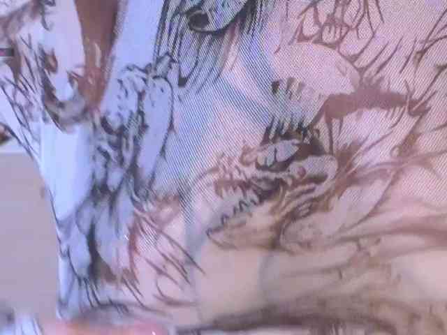 HotKsy webcam