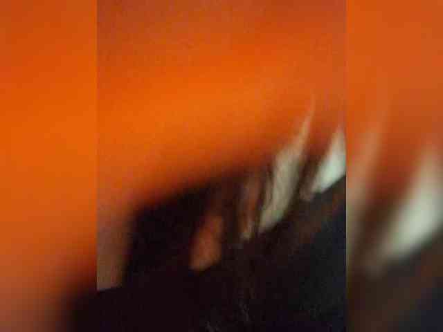 hellshell300 webcam