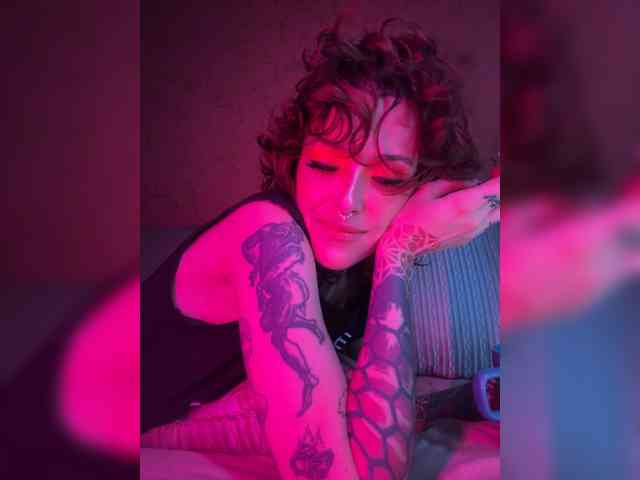 Haermit webcam