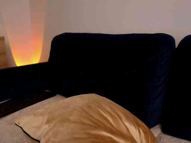 VixenSA webcam