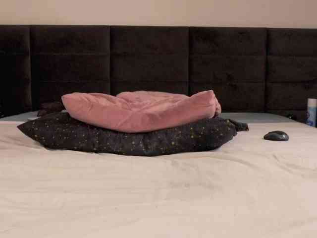 Aliyv webcam