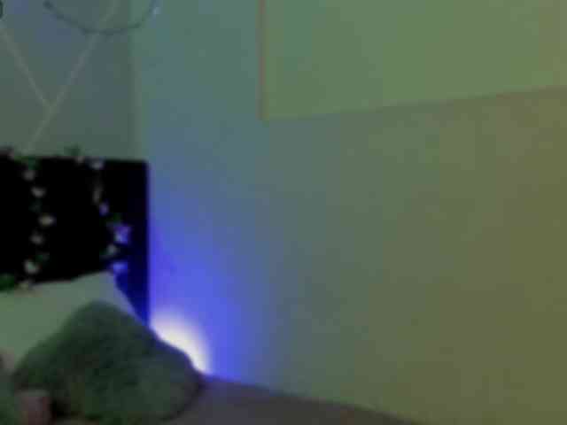 alexa-espinoza webcam