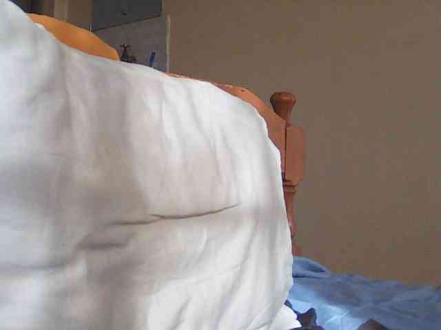 Kalicums webcam